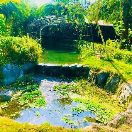 Ruisui Palm Lakes B&B Buitenkant foto