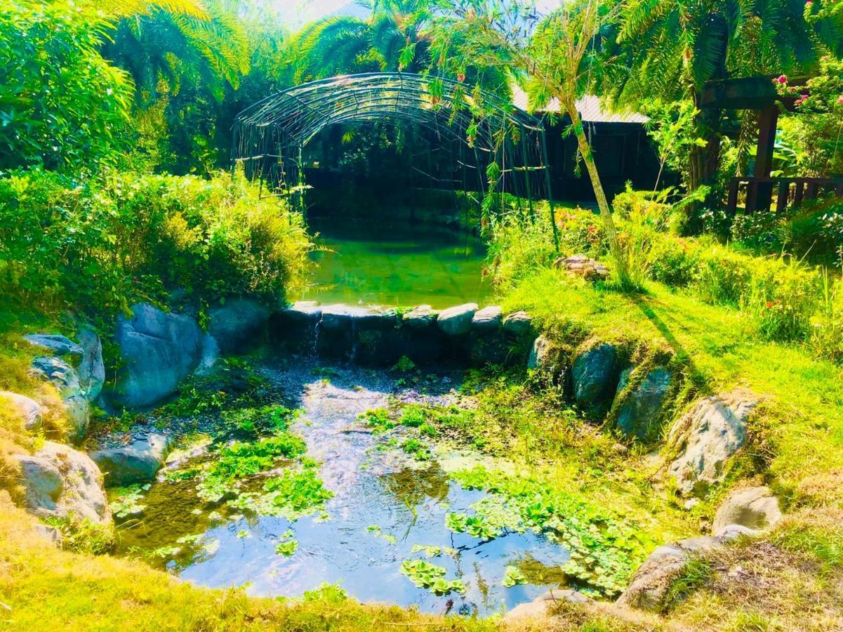 Ruisui Palm Lakes B&B Buitenkant foto
